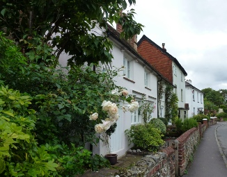 Roses on cottage in Buriton.